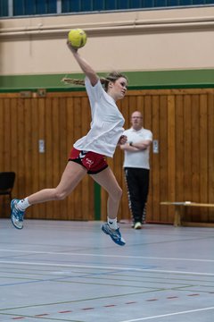 Bild 148 - Damen HSG Kremperheide/M�nsterdorf - Suchsdorfer SV : Ergebnis: 39:22
